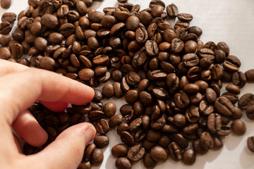 coffee beans a lot of coffee scattered on a white background