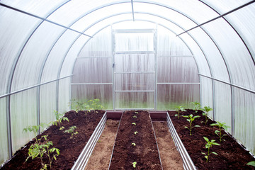 small arc polycarbonate greenhouse with different plants