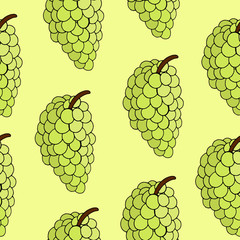 Seamless pattern with grapes. Vector illustration with grapes on a green background. Design of packaging paper, fabrics, clothing, postcards, Wallpaper. Doodle style. Fruit pattern. Doodle style. 