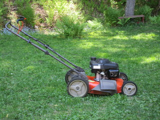 Obraz premium lawn mower on the grass