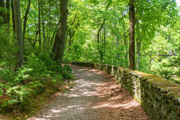 An old stone wall borders a path through the forest at the Case Mountain Recreational Area in Manchester, CT