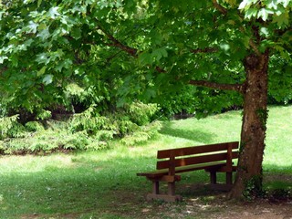 Naklejka premium national park