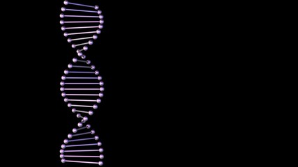 Purple DNA strand on a black background.