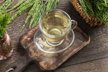 A cup of horsetail tea with fresh horsetail