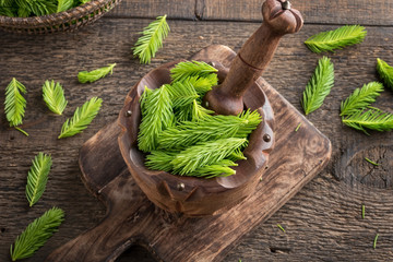 Young spruce tips in a mortar on a table