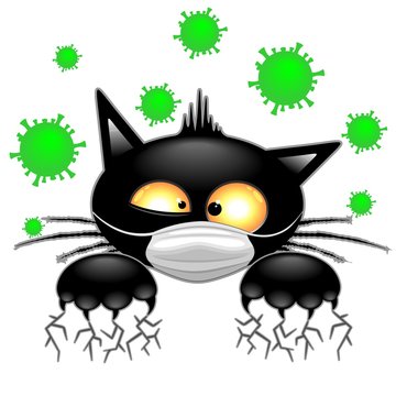 Cat with Face Mask scared by Virus Covid19 Humorous Cartoon Character