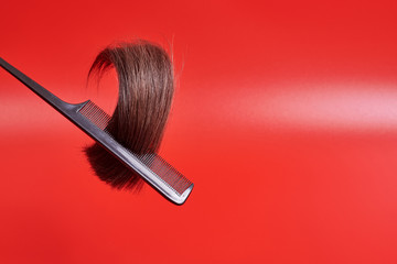hair sticks out and fluffs out of the comb on a red background. her glossy brown hair curled up in the comb's teeth