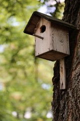 bird house on a tree green brown 