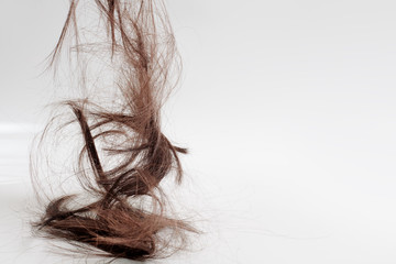 hair falls down after cutting. the cut-off brown hair falls from above in a heap, hanging in the air. lots of hair falling out on a light white background