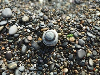 stones on the beach
