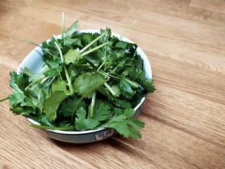 fresh green salad