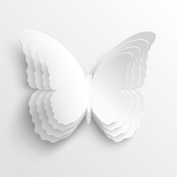 Beautiful paper butterfly on a white background. Greeting card with paper butterfly. Vector illustration.