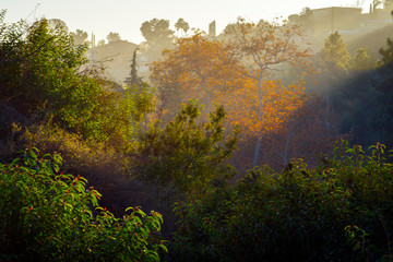 Sunset over Los Angeles Hills