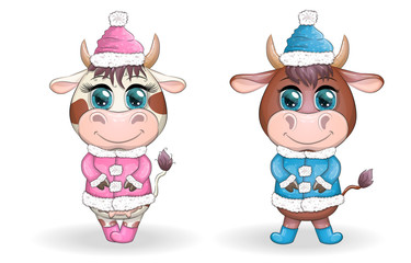 Funny cow, bull in a fur coat in cartoon style. Symbol of 2021