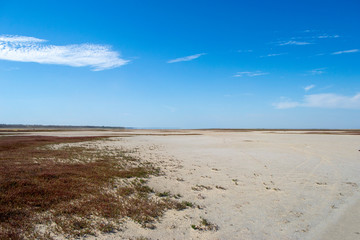 the bottom of the estuary