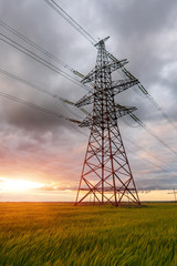 High-voltage power lines passing through a green field of wheat, on the background of a cloudy sky