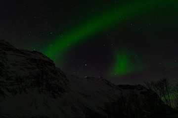 Northern Lights, Tromso