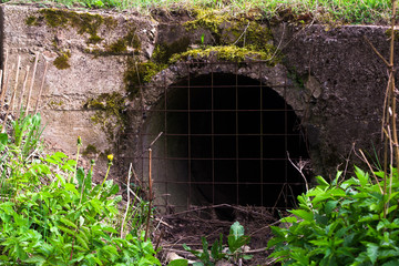 grate at the entrance to the drainpipe,