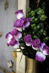 Center Grooms roses