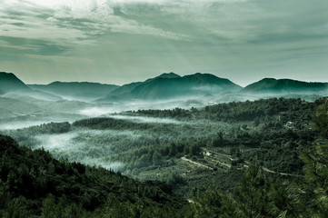 fog in mountains