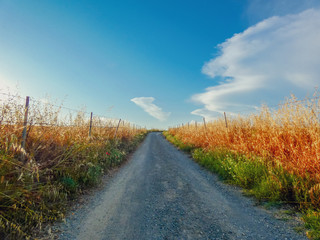 road in the countryside