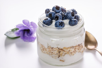 Blueberry Oatmeal Yogurt