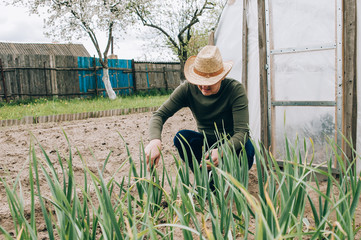 Farmer working in garden and looking on plants