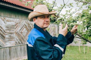 Farmer working in garden and looking on plants