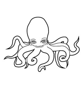 Frecher Tintenfisch Oktopus Kraken 