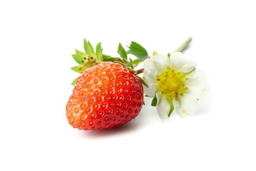 Tasty red strawberry isolated on white background. Summer berry