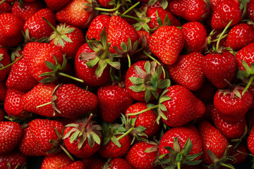 Tasty red strawberry on whole background, close up. Summer berry
