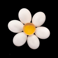 
beautiful composition of white eggs in the form of a flower