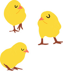 vector illustration of a set of chickens in different poses. babies just hatched from eggs. farm inhabitants