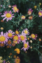 Processed with VSCO with hb2 preset