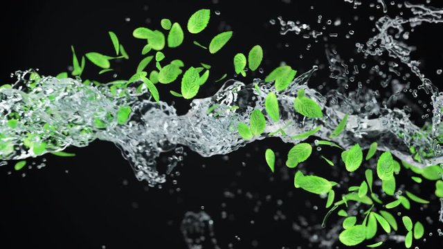 Abstract 3D animation of flying green mint leaf with crystal water. Close up Render footage with fresh nice leaves 
and pouring splashing liquid on dark background with alpha matte chanel. 4k.