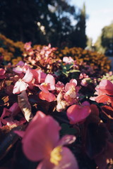 Processed with VSCO with a5 preset