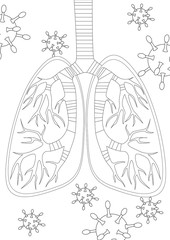 Bronchi or lungs as a respiratory organ, outline or linear vector stock illustration as a concept of pneumonia during a virus