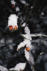 Processed with VSCO with hb2 preset