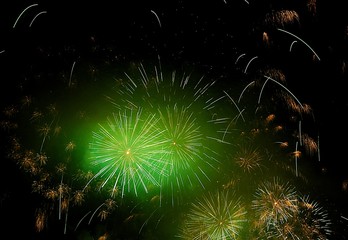 Obraz premium Beautiful firework in night sky. Concept of anniverary, celebration, events of the year. Fun and festival.