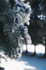 Processed with VSCO with hb2 preset