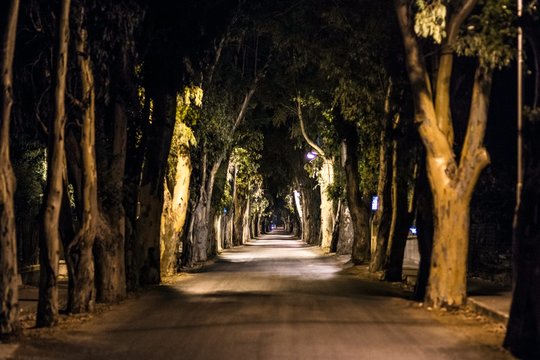 Eucalyptus Street Night photo of Kolymbia in Rhodes Greece