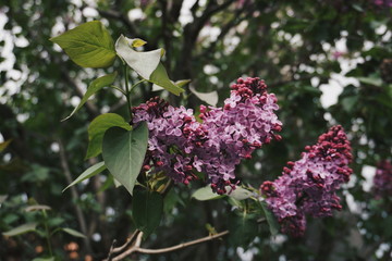 Processed with VSCO with hb2 preset