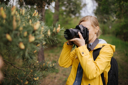 Female photographer in casual clothing taking pictures of small cones on pine tree. Beautiful woman with blond hair doing nature shooting during spring time.