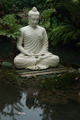 buddha in the garden