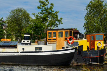 Naklejka premium Buque