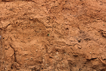 Clay soil cut. Red color of clay.