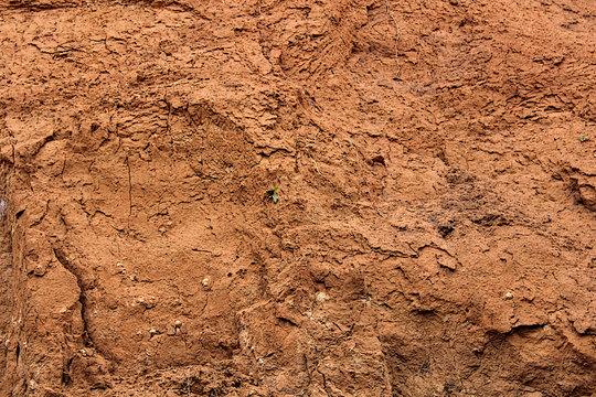 Clay soil cut. Red color of clay.