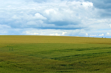 Summer landscape with fields under the blue sky.