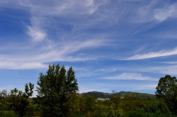landscape of clouds in spring