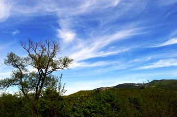 Obraz premium landscape of clouds in spring